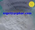 Testosterone Phenylpropionate